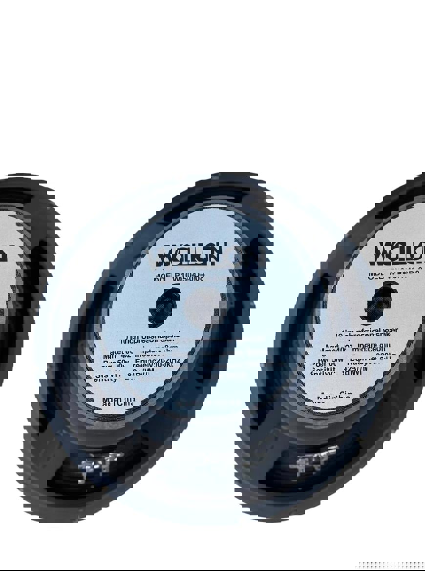 WOLLON 10" SPEAKER 